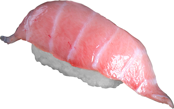 Bluefin Toro