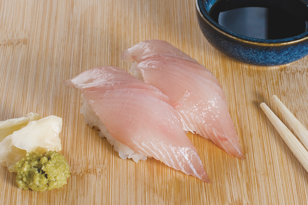 Albacore Toro 